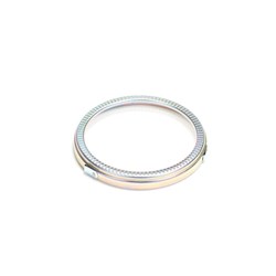 POLE RING ECO PLUS 100 TOOTH
