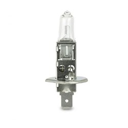 12V 100W H1 BULB