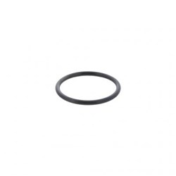 O RING