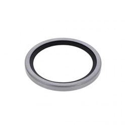 THERMOSTAT SEAL