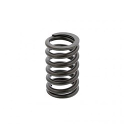 VALVE SPRING