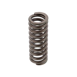 VALVE SPRING