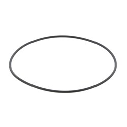 SEAL RING WATER PUMP MOUNT