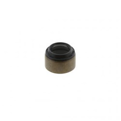 SEAL VALVE STEM EARL