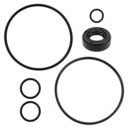 REPAIR KIT V10 SEAL