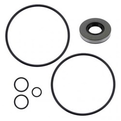 REPAIR KIT V20 SEAL