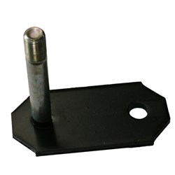 SWINGING SHACKLE PIN AND PLATE