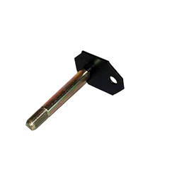 SWINGING SHACKLE PIN AND PLATE