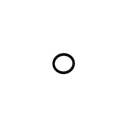 O-RING